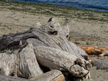Island View Sahili, Vancouver Adası, BC 'de sanat eseri yığılmış.
