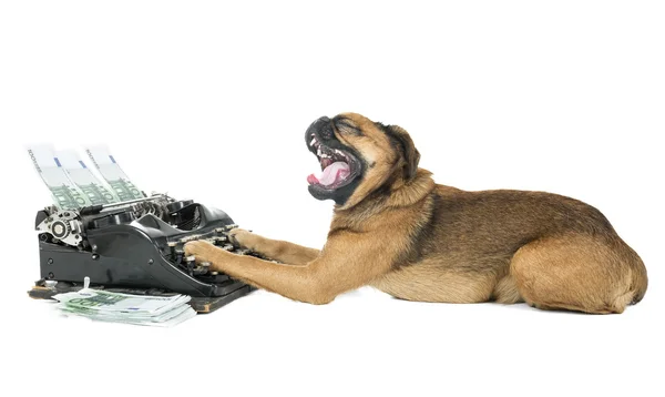 Dog typewriter on a white background in studio — Stock Photo, Image