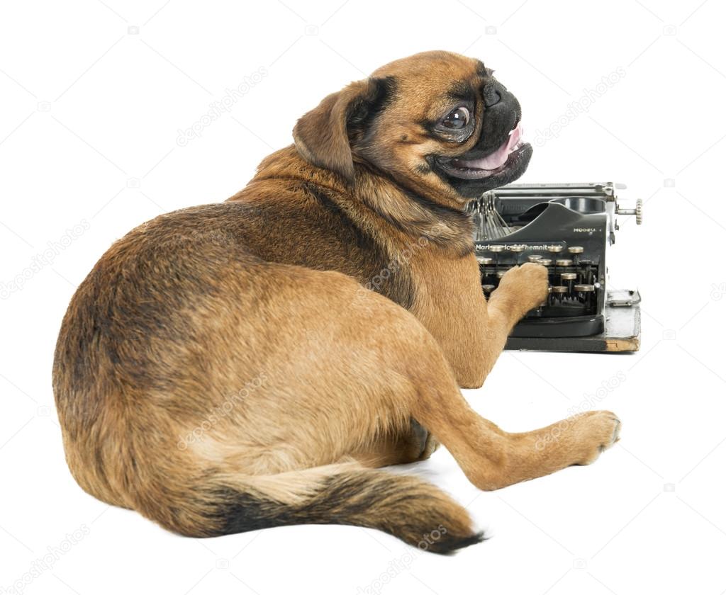 dog typewriter on a white background in studio