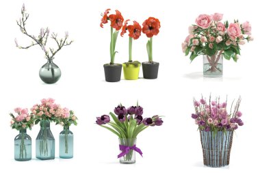 Saksıda 3 boyutlu çiçek ve süs bitkileri.