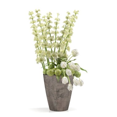 Saksıda 3 boyutlu çiçek ve süs bitkileri.