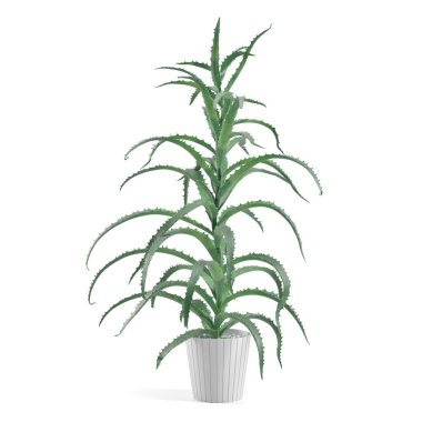 Saksıda 3 boyutlu çiçek ve süs bitkileri.