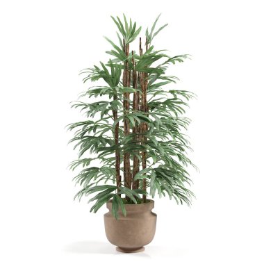 Saksıda 3 boyutlu çiçek ve süs bitkileri.