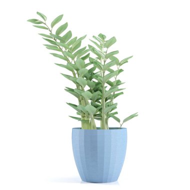 Saksıda 3 boyutlu çiçek ve süs bitkileri.