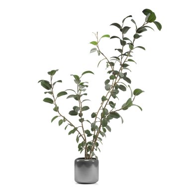 Saksıda 3 boyutlu çiçek ve süs bitkileri.