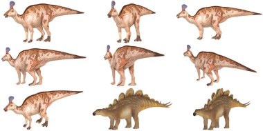 Parasaurolophus ve Stegosaurus 'un çizimi.