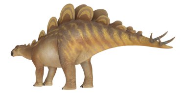 Beyaz arka planda gerçekçi Stegosaurus