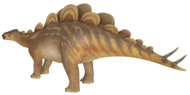 Stegosaurus dinazorunun gerçekçi modeli.