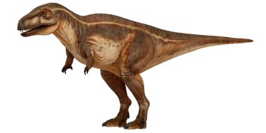 Beyaz arka planda gerçekçi Tyrannosaurus rex modeli