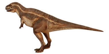 Beyaz arkaplanda gerçekçi Tyrannosaurus rex