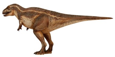 Ayakta duran bir dinozorun gerçekçi tasviri.