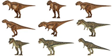 Ayrıntılı dinozor heykelcikleri koleksiyon görüntüsü.