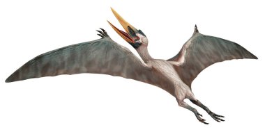 Majestic pterosaur soaring in flight