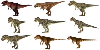 Çeşitli dinozor modelleri canlı renkler sergiliyor.