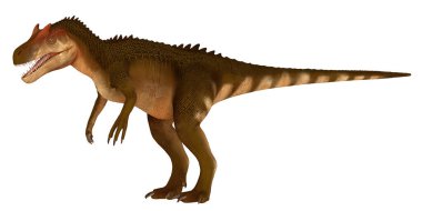 Illustration of a Theropod Dinosaur on White Background