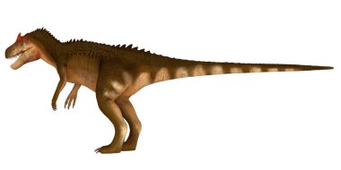 Majungasaurus dinosaur standing against white background