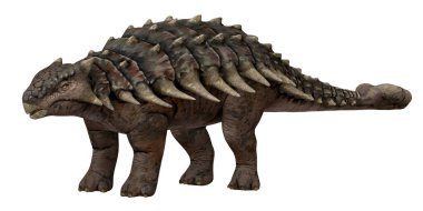 Bir Ankylosaurus dinozorunun gerçekçi 3D canlandırması.