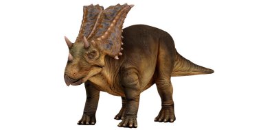 Bir Triceratops dinozorunun gerçekçi 3 boyutlu modeli