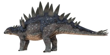 Arka plakalı Stegosaurus dinozoru.