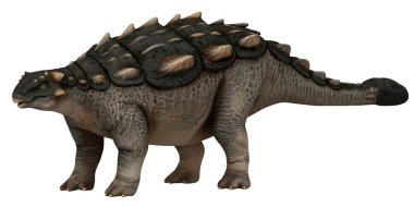 Zırhlı bir dinozorun gerçekçi modeli..