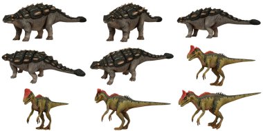 Benzersiz özellikleri olan bir grup gerçekçi dinozor modeli..