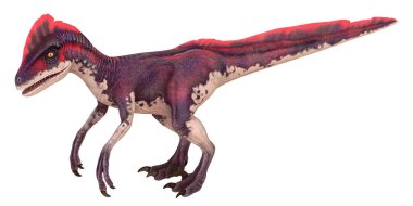 Colorful dinosaur with striking head crest.