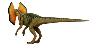 Dilophosaurus dinozorunun gerçekçi tasviri