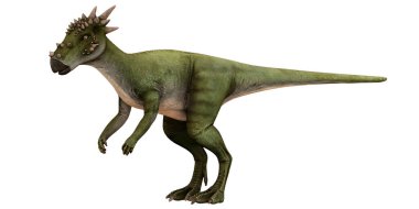 Dikenli yeşil bir dinozor tasviri.