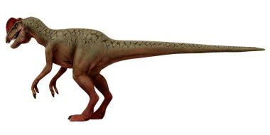 Beyaz arka planda duran görkemli dinozor..