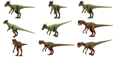 Çeşitli dinozorların resimleri, yeşil ve kahverengi.