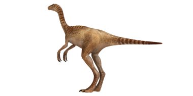 Illustration of a Theropod Dinosaur on White Background