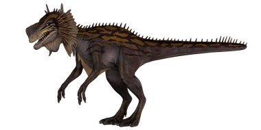 Beyaz arka planda bir Carnotaurus dinozoru tasviri.