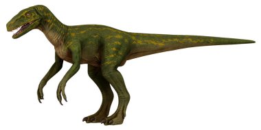 Beyaz arka plana karşı gerçekçi dinozor modeli