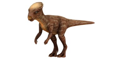 Genç bir dinozorun gerçekçi tasviri.