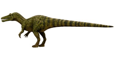 Beyaz arka planda Spinosaurus dinazor modeli.