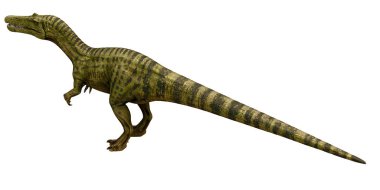Büyük bir Theropod dinozorunun gerçekçi tasviri.