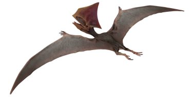 Büyük kanat açıklığıyla uçan Pterosaur..