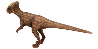 Pachycephalosaurus dinazorunun gerçekçi modeli.