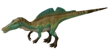 Bir Spinosaurus dinozorunun gerçekçi modeli.