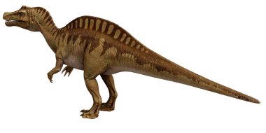 Büyük etobur bir dinozorun gerçekçi tasviri