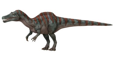 Bir Spinosaurus dinozorunun gerçekçi modeli.