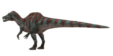 Bir Spinosaurus dinozorunun gerçekçi 3D canlandırması