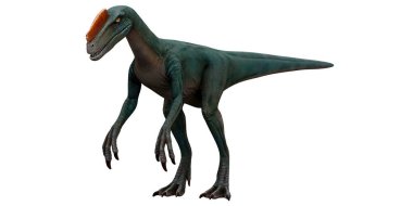 Detaylı özelliklere sahip görkemli dinozor modeli.