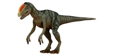 Beyaz arka planda görkemli tarih öncesi dinozor.