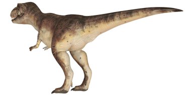 Gerçekçi Tyrannosaurus rex model kenar görünümü