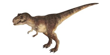 Gerçekçi Tyrannosaurus Rex modeli