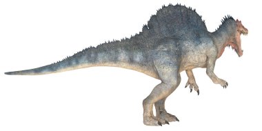 Gerçekçi Spinosaurus profili, detaylı illüstrasyon.
