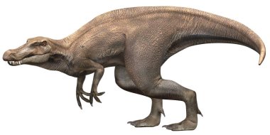 Vahşi bir Tyrannosaurus Rex 'in tasviri.