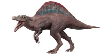 Kükreyen bir Spinosaurus dinozorunun gerçekçi tasviri
