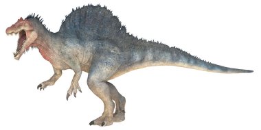 Kükreyen bir Spinosaurus dinozorunun gerçekçi tasviri.